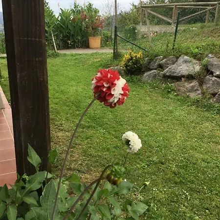 Holiday home Mar Y Picos *